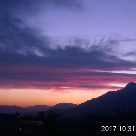 Casa Alpina Villa Cencenighe Buitenkant foto