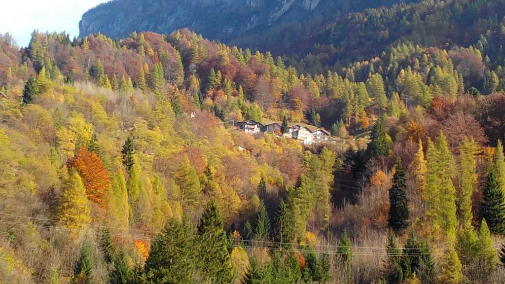 Casa Alpina Villa Cencenighe Buitenkant foto