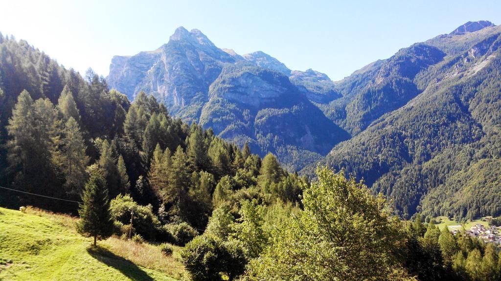 Casa Alpina Villa Cencenighe Buitenkant foto